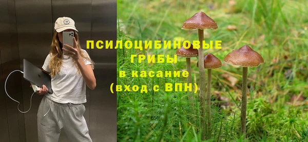 ECSTASY Аркадак
