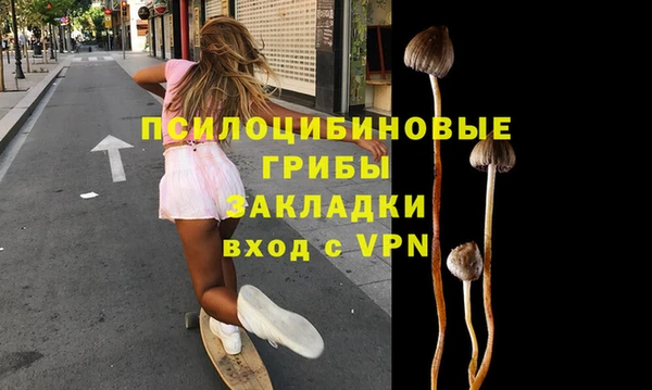 прущая мука Арсеньев
